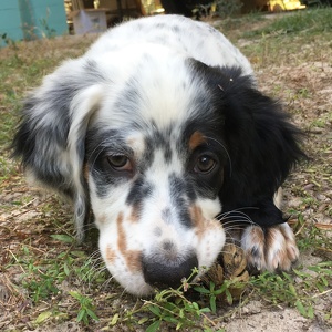 Fundraising Page: Jeannie Beck